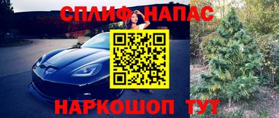 гашик Ивантеевка