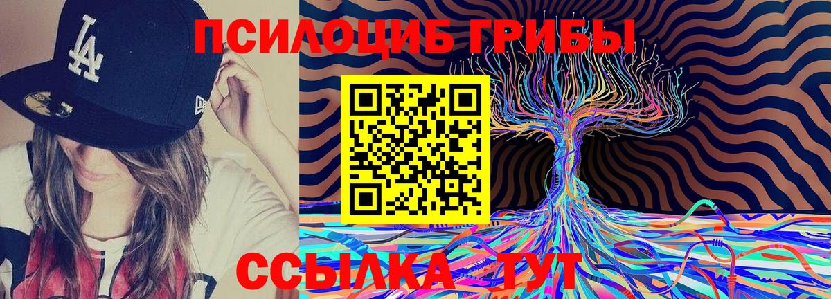 Галлюциногенные грибы MAGIC MUSHROOMS  Вход с VPN  Фролово  Галлюциногенные грибы MAGIC MUSHROOMS 