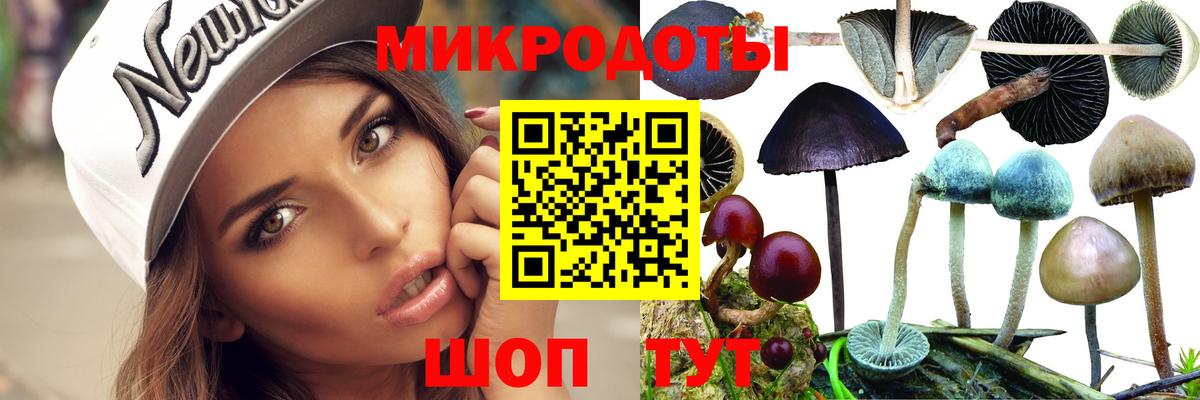 Галлюциногенные грибы мухоморы Фролово